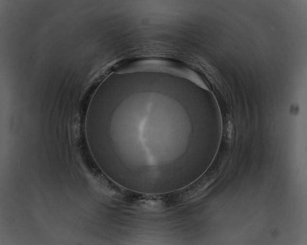 X0000091710552200708241249