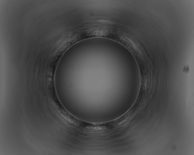 X0000091710553200708241249