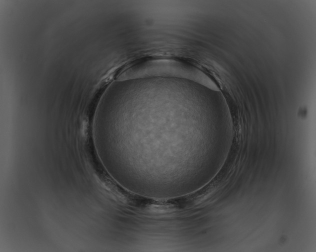 X0000091710556200708241250