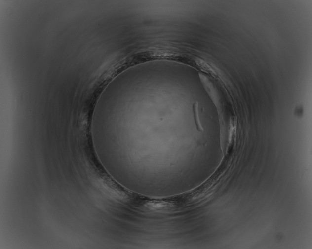 X0000091710557200708241250