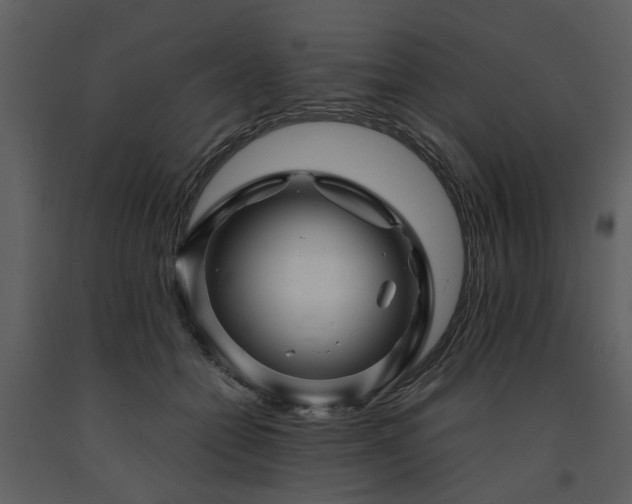 X0000091710558200708241250