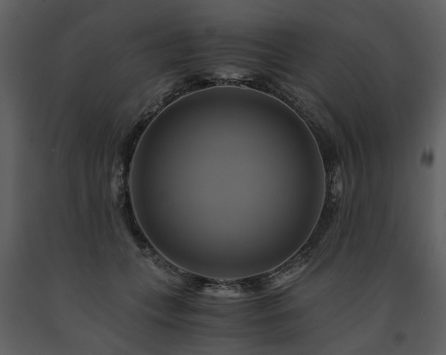 X0000091710559200708241250