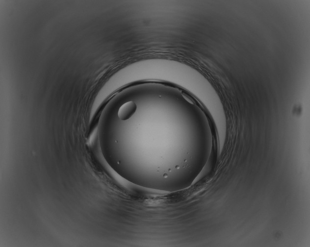 X0000091710560200708241250