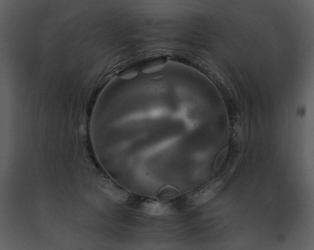 X0000091710561200708241250