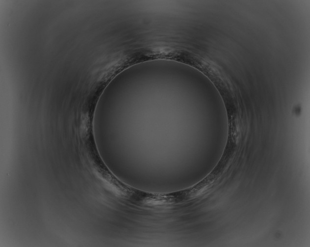 X0000091710563200708241250