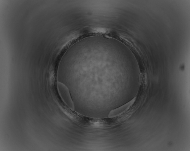 X0000091710564200708241250