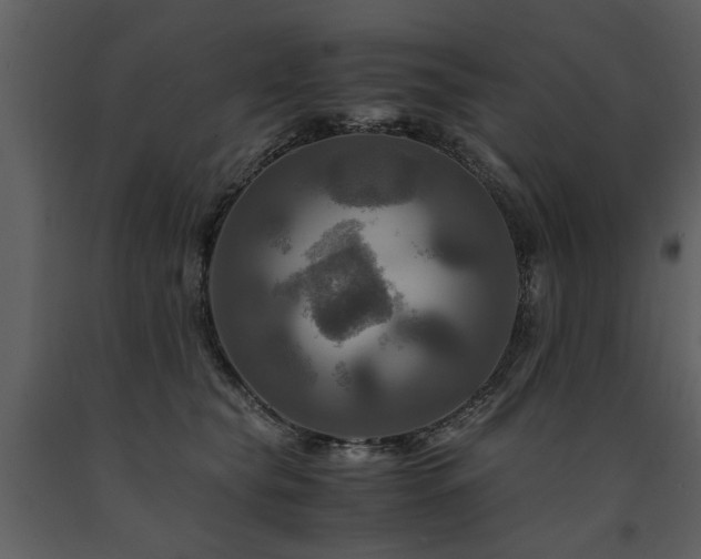 X0000091710565200708241250