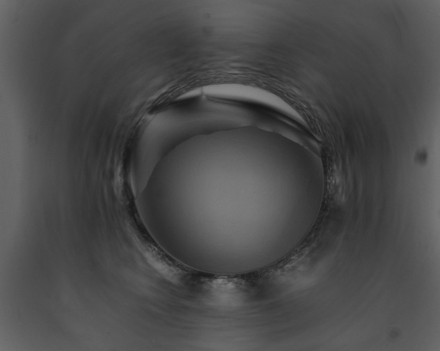 X0000091710566200708241250