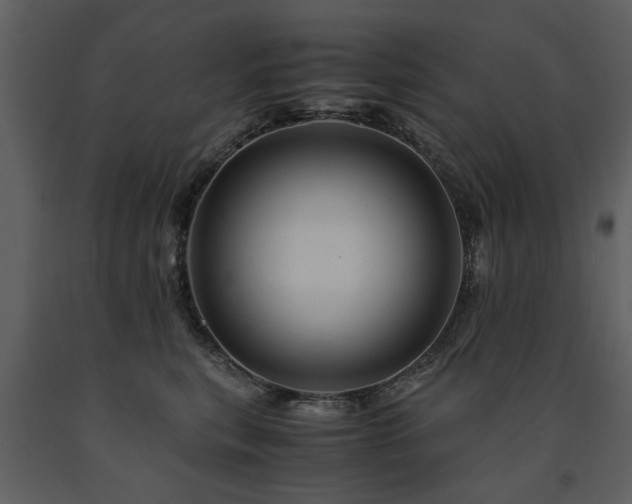 X0000091710567200708241250