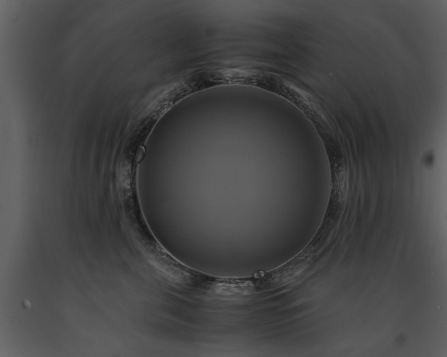 X0000091710571200708241250