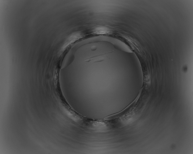 X0000091710572200708241250