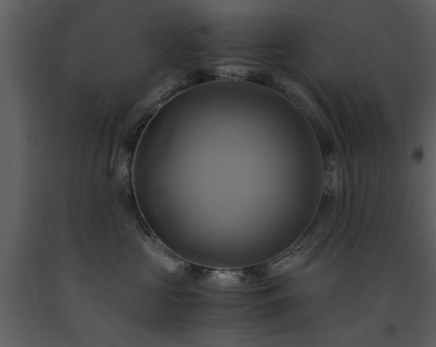 X0000091710573200708241250