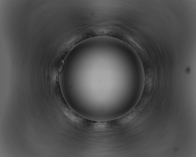 X0000091710574200708241250