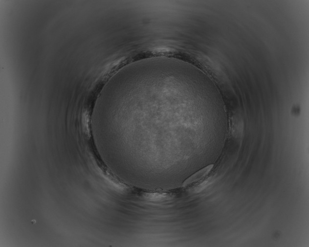 X0000091710575200708241250