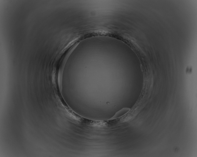 X0000091710576200708241250