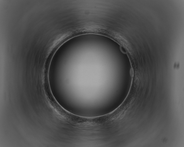 X0000091710578200708241249