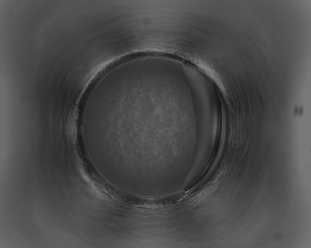 X0000091710580200708241249