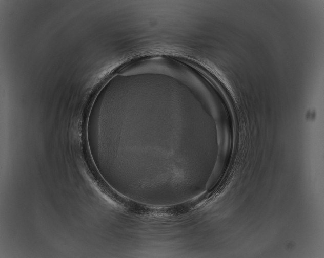 X0000091710581200708241249