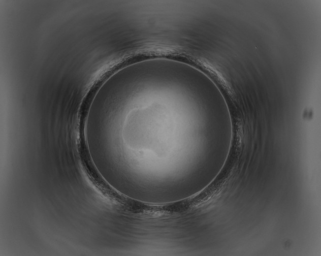 X0000091710582200708241249