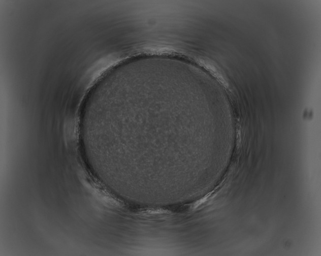 X0000091710583200708241249