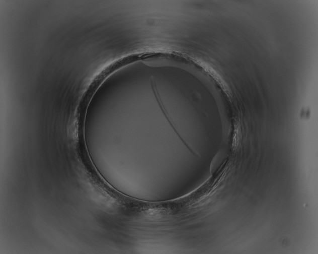 X0000091710584200708241249