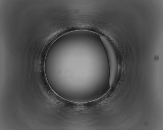 X0000091710587200708241249