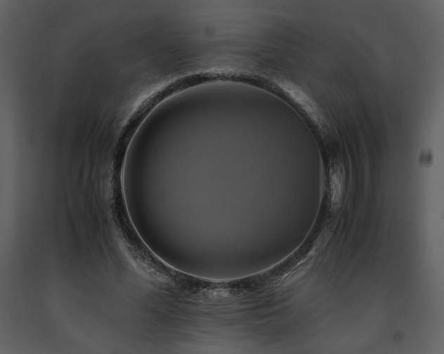 X0000091710588200708241249