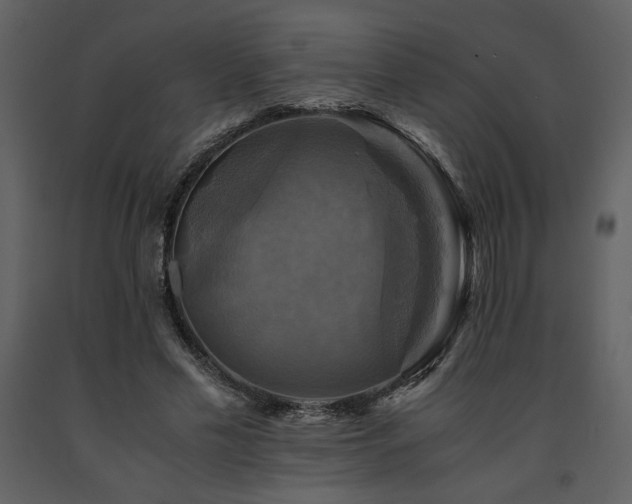 X0000091710589200708241249