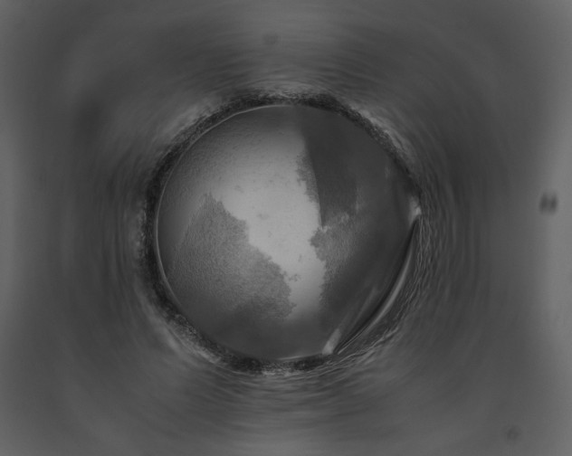 X0000091710591200708241249