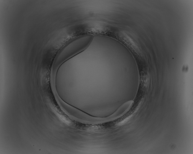 X0000091710593200708241249