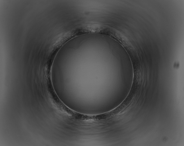 X0000091710594200708241249