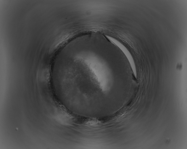 X0000091710595200708241249