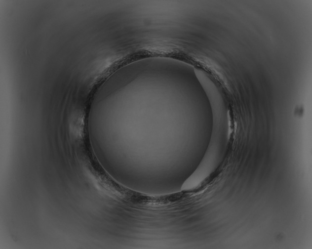 X0000091710596200708241249