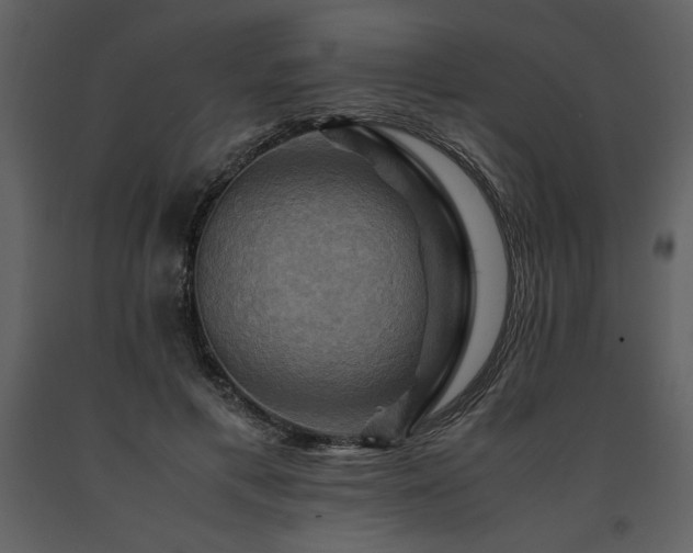 X0000091710597200708241249