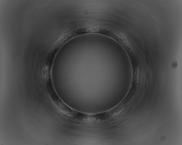 X0000091710598200708241249