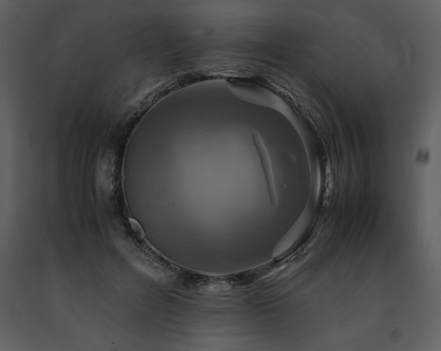 X0000091710600200708241249