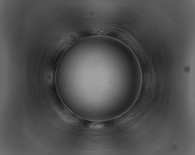 X0000091710602200708241249