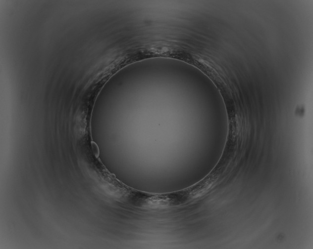 X0000091710606200708241249