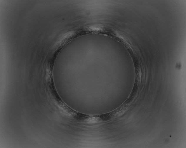 X0000091710609200708241249