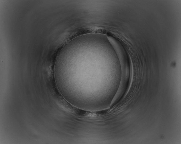 X0000091710611200708241248