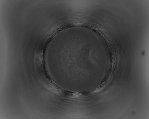 X0000091710612200708241248