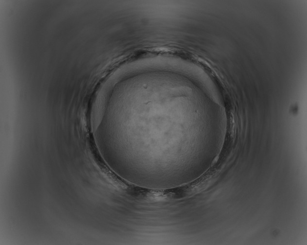 X0000091710613200708241248