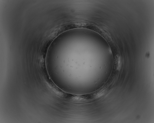 X0000091710614200708241248