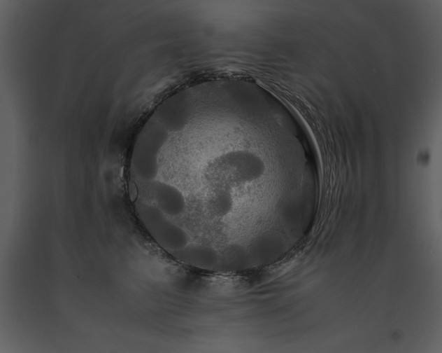 X0000091710615200708241248