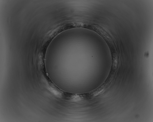 X0000091710616200708241248