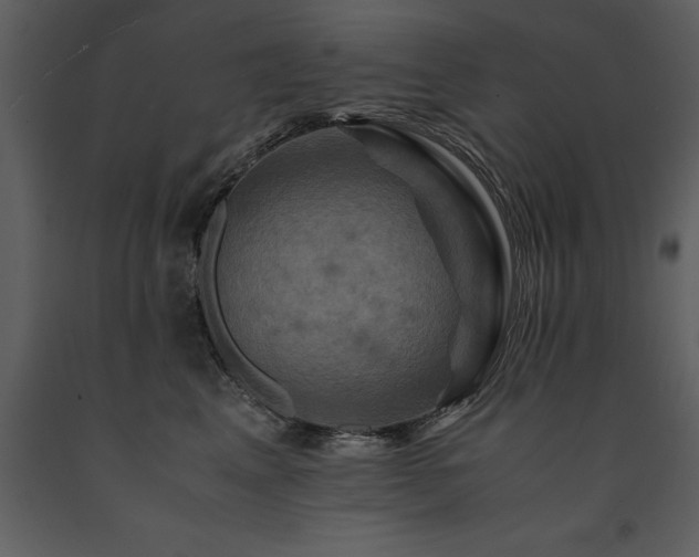 X0000091710617200708241248