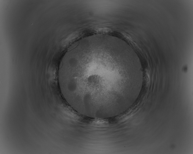 X0000091710619200708241248