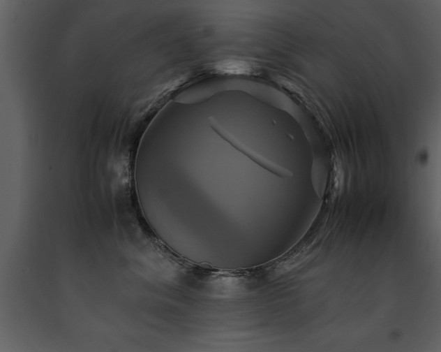 X0000091710620200708241248