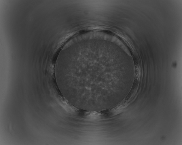 X0000091710621200708241248