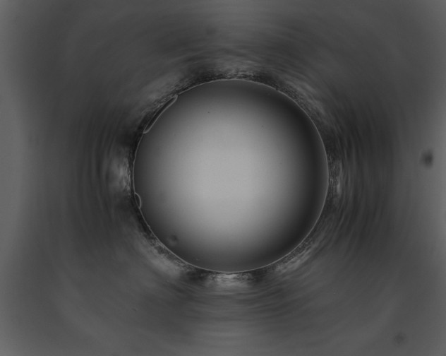 X0000091710622200708241248